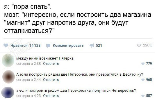10148004.jpg