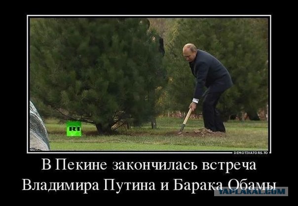 Глядя на тебя цитата Глядя на тебя цитата