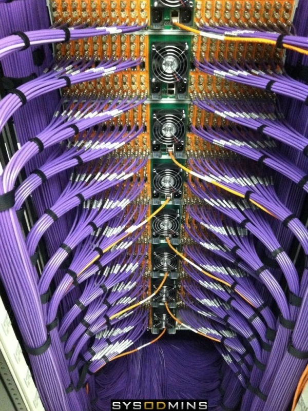 3256504.jpg