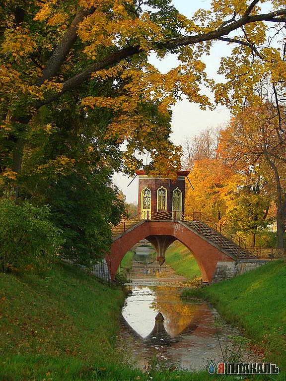 Осень, просто красивая осень..