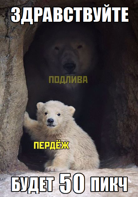 Подонковщина