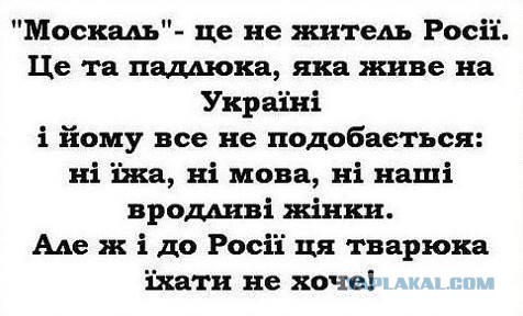 Пропаганда. Как это работает у них.