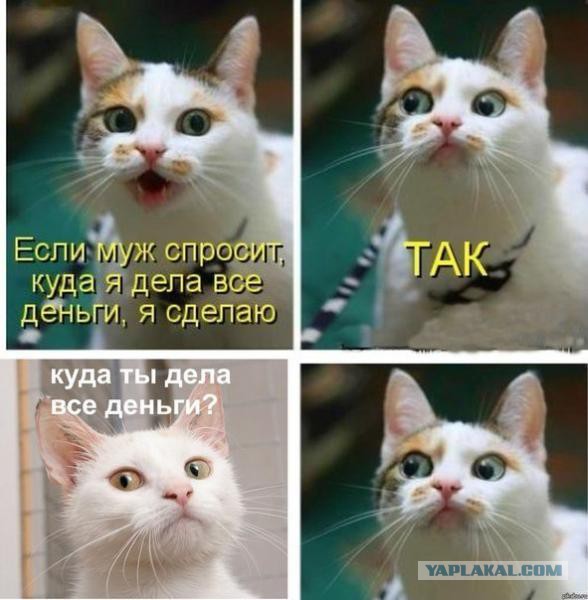 Как сделать навесное оборудование к мотоблокам своими Как сделать модель клетки