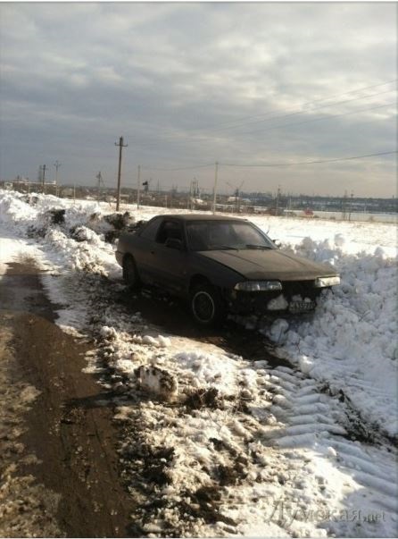 Под Одессой разграбили десятки брошенных в снегу