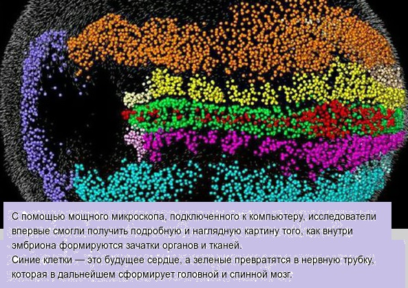 Подборка бесполезных и разных фактов