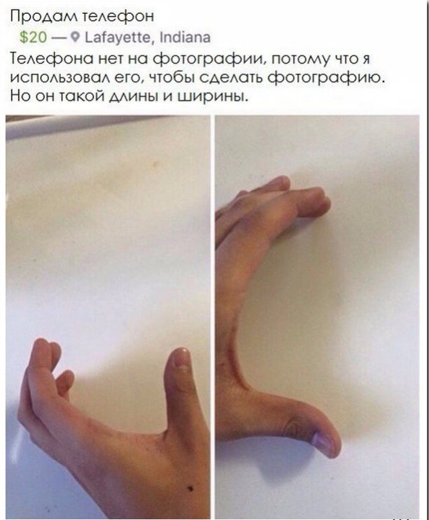 11495714.jpg