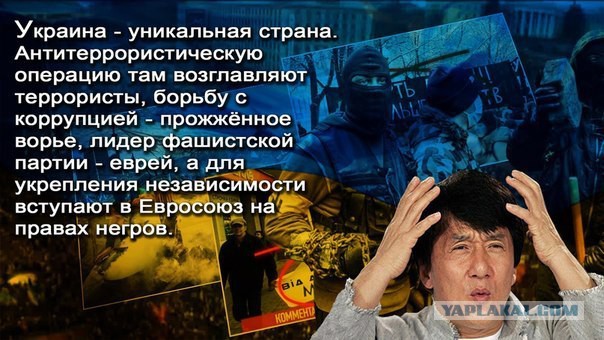 Тимошенко предложила провести референдум