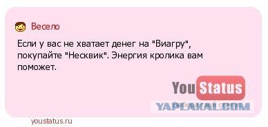 Как сделать полюс если ты его потерял Как сделать полюс если ты его потерял