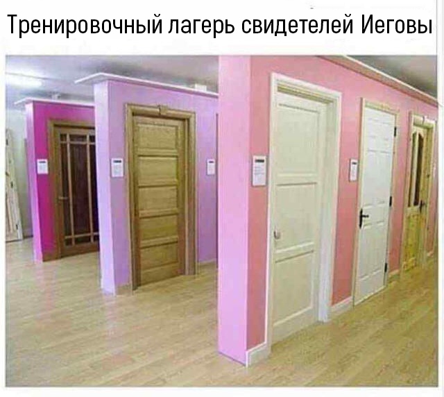 11952224.jpg