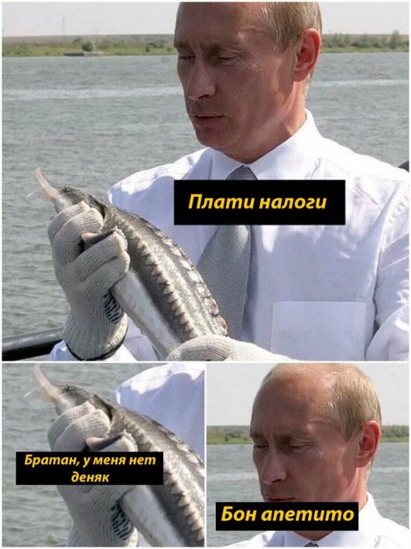 Нестандартный юмор