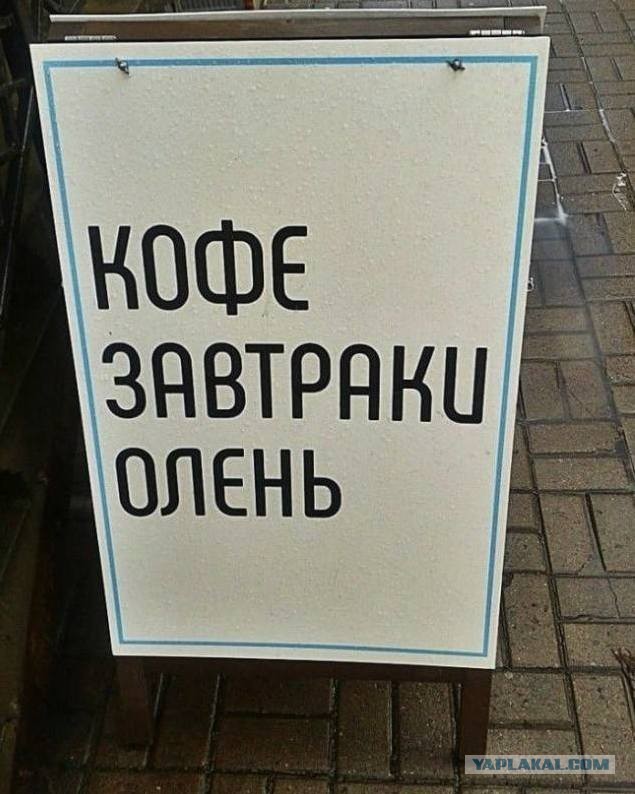 20 плюс шикарных маразмов, которые вы еще долго не сможете развидеть