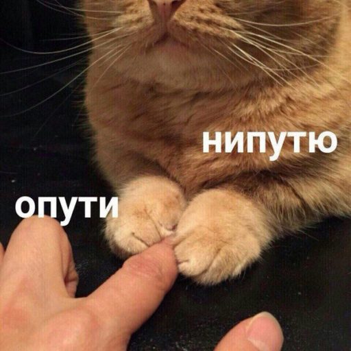 Не пущу…