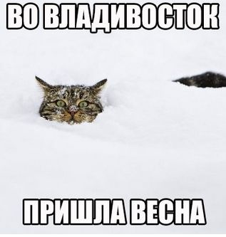 СНЕЖОК Владивосток 04.03.2015