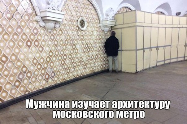 7111724.jpg