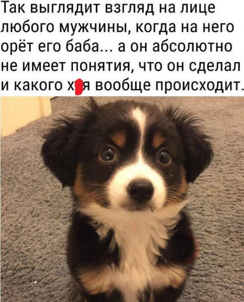 Немного картинок