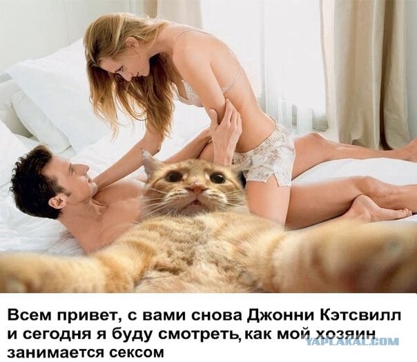 Русские Секс Приколы Кино