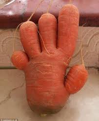 Здравствуйте, я - морковь. Просто - морковь.