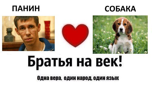 Юмор не для всех