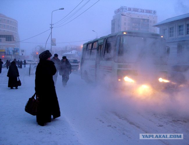 В чем ходят зимой в тюмени В чем ходят зимой в тюмени