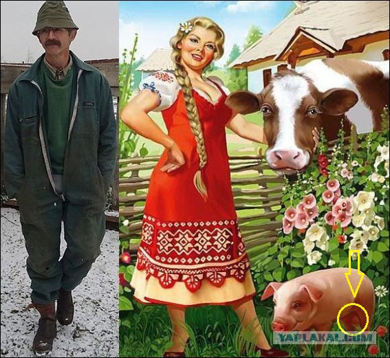 Французский миллионер переехал в российскую глубинку, чтобы наладить производство элитных сыров и найти себе хозяйственную жену