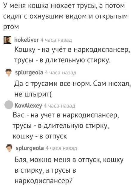 Прикольные комментарии и высказывания из Сети