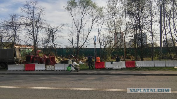 По поводу приюта Эко Вешняки....