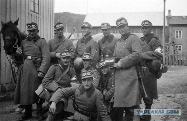 1-я Горно-стрелковая дивизия вермахта "Эдельвейс"