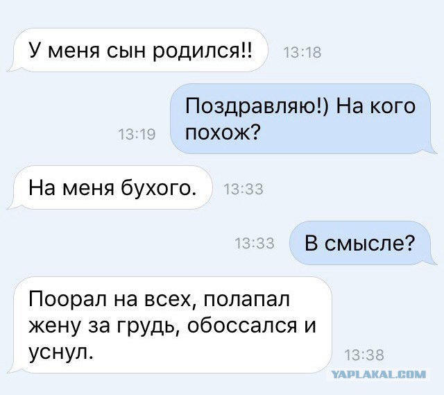8254244.jpg