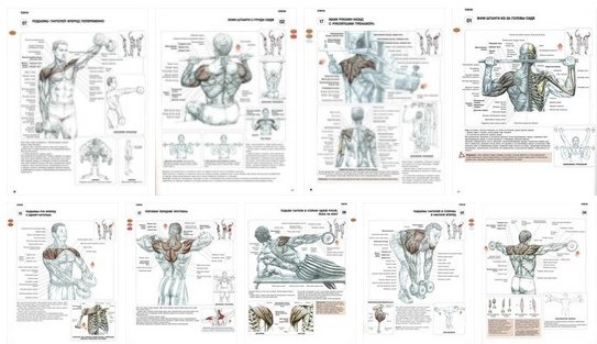 Помогите найти упражнения (картинки)