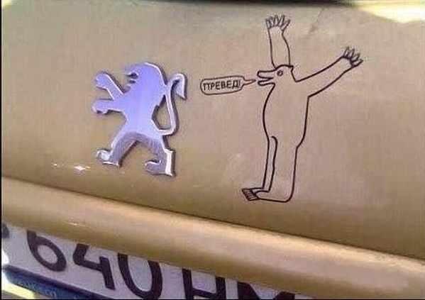 7163644.jpg