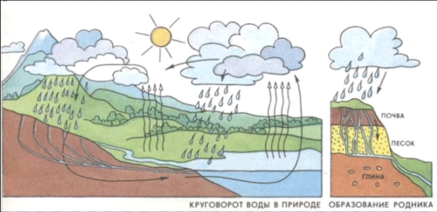 Порно Комикс Круговорот На Русском