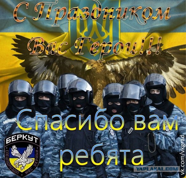 Поздравления для беркута Поздравления для беркута