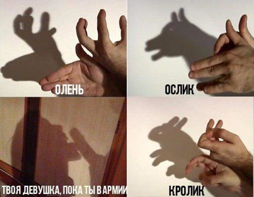 8368254.jpg