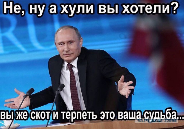 "Я отрекаюсь от Путина" - песня!