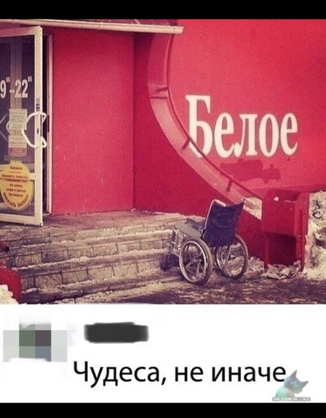 12712354.jpg
