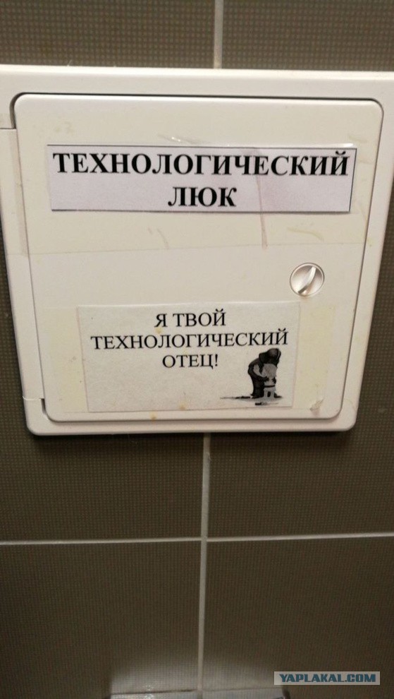10511754.jpg