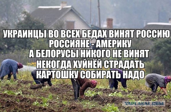 Лукашенко угостил Стивена Сигала морковкой