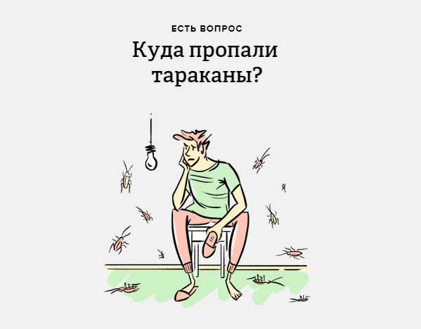 Почему из российских квартир исчезли тараканы? Куда они ушли Почему из российских квартир исчезли тараканы? Куда они ушли