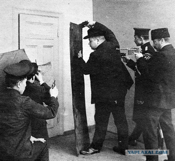 света жизни латвийский арзив полицкйское управление декабре латвийский арзив полицкйское управление Пусть владельцы