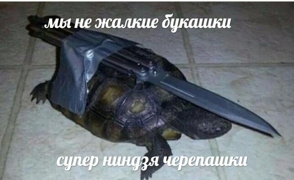 Нестандартный юмор