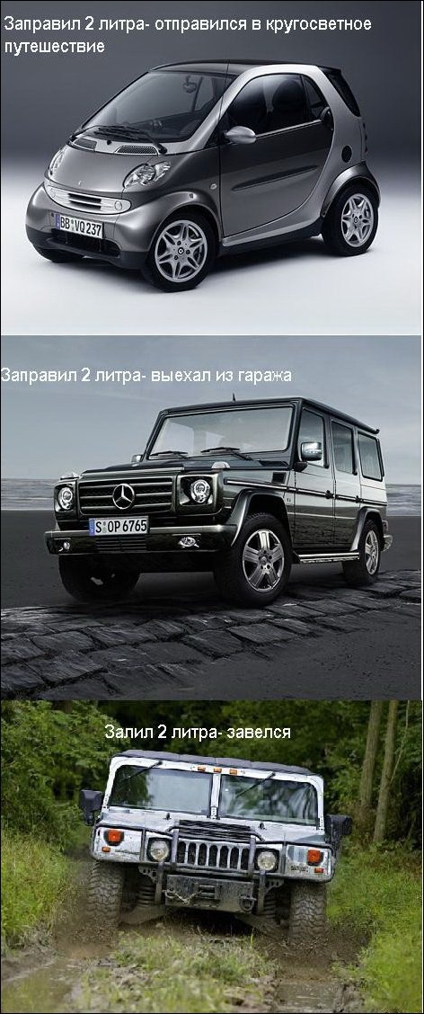 8877464.jpg