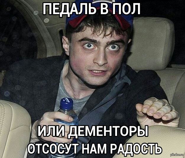 4219564.jpg