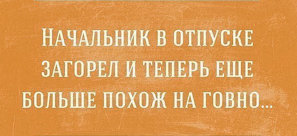 9865074.jpg