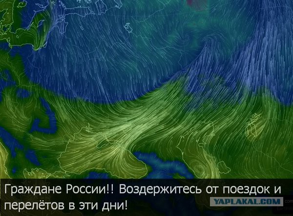 В Ростове-на-Дону разбился Boeing 737-800, все находившиеся на борту погибли