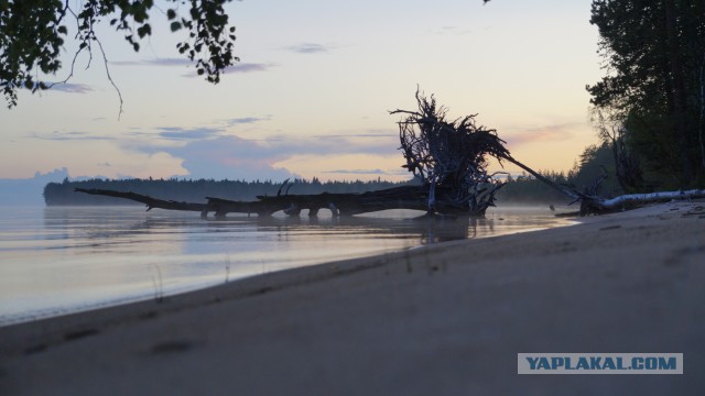 На море в шерстяных носках