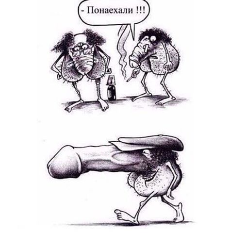 Картинки из инета