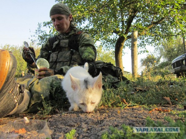 Фотографии из Иловайска после боев