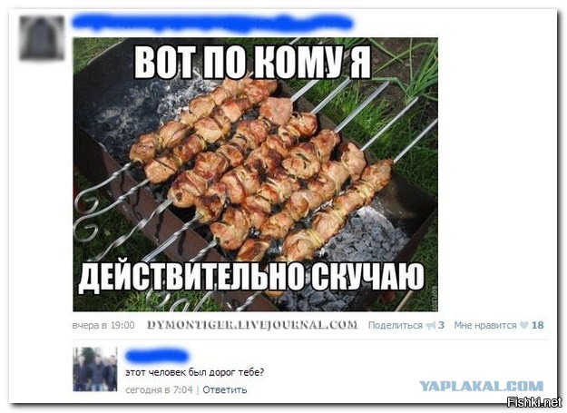 7203574.jpg