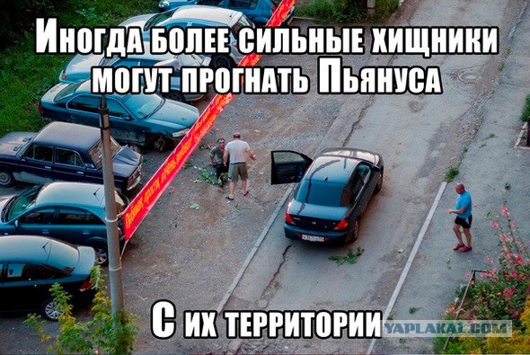 3980674.jpg