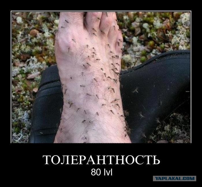 конфликты тему межнациональны на доклад